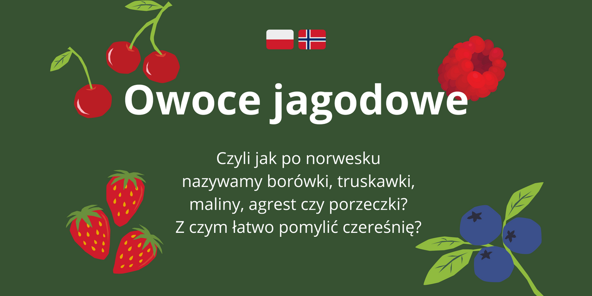 Owoce jagodowe – nazwy po norwesku