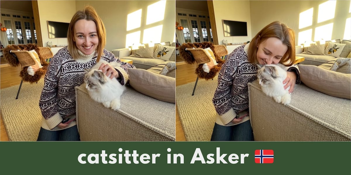 Your catsitter in Asker, Norway