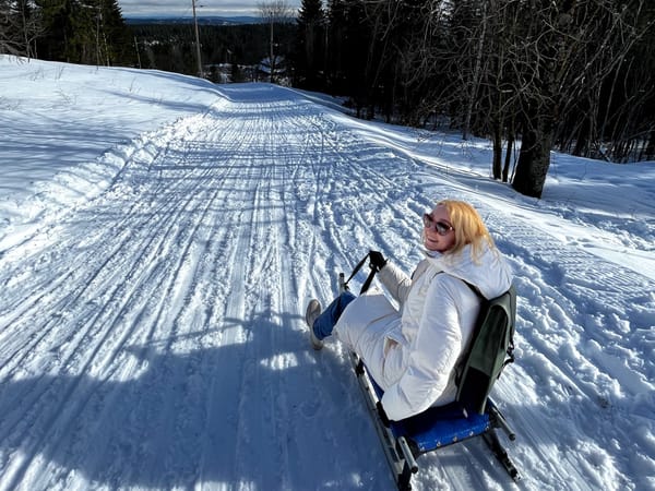 Jazda na sanki! Czyli na Korketrekkeren w Oslo 🛷 [Przewodnik 2024]