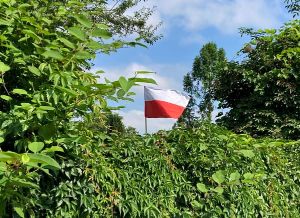 🇳🇴/🇵🇱 Hvem er jeg? Hvem var jeg i Polen?